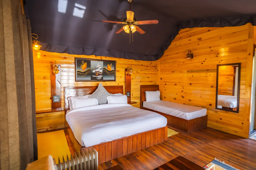 The Barbet - Treehouse