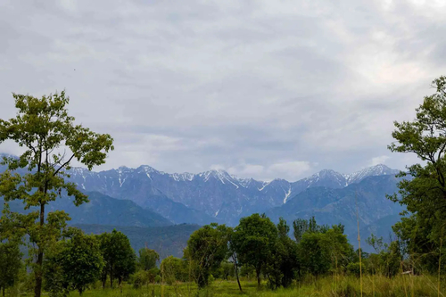 Esh Cottages Willow | Hillside 1-room Retreat With Lush Garden, Common Pool & Restaurant