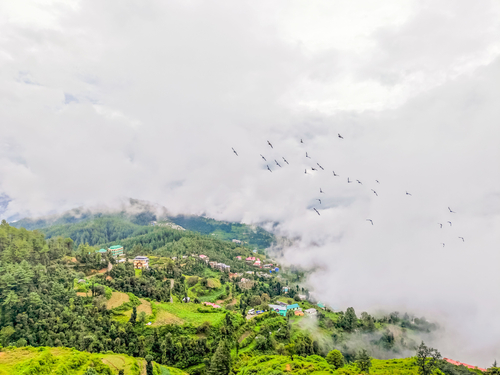 Himalayan Escape Serenica Cottage | 1 Hillside with Bathtub, Kitchenette, Shared Garden, Terrace & Views