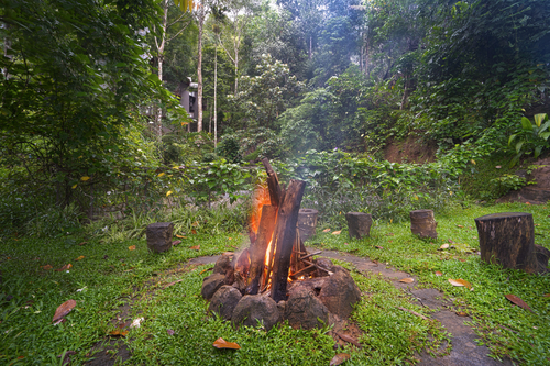 Panchavadi | Tree House On 10-acre Land With Natural Pool, Garden & Restro