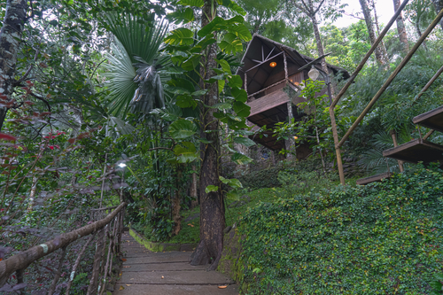 Panchavadi | Tree House On 10-acre Land With Natural Pool, Garden & Restro