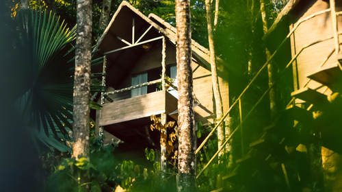 Panchavadi | 10-acre Land With 6 Forest-Facing Rooms, Natural Mountain Pool, Garden & Restro