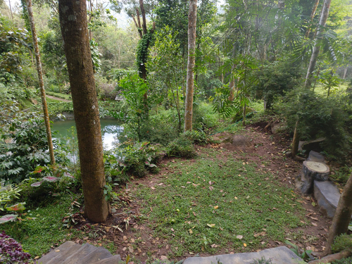 Panchavadi | 10-acre Land With 6 Forest-Facing Rooms, Natural Mountain Pool, Garden & Restro
