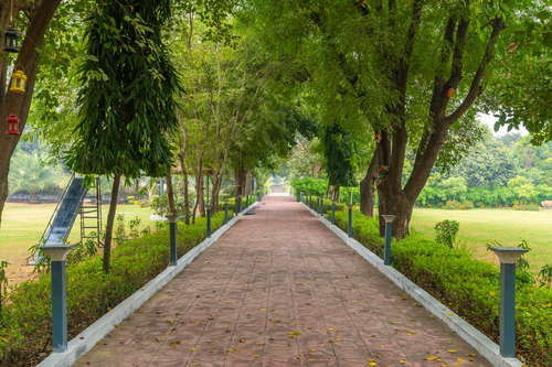 Leela Retreat