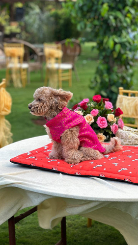 Celebrations and Offsites at Vista Villas in Delhi
