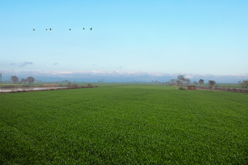Chahal Farmstay