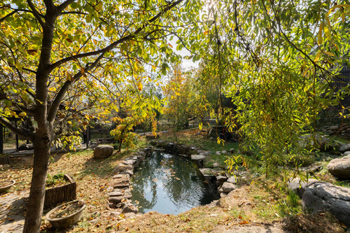 Crystal Creek