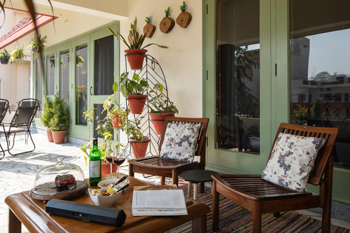 Fiddle Leaf Home