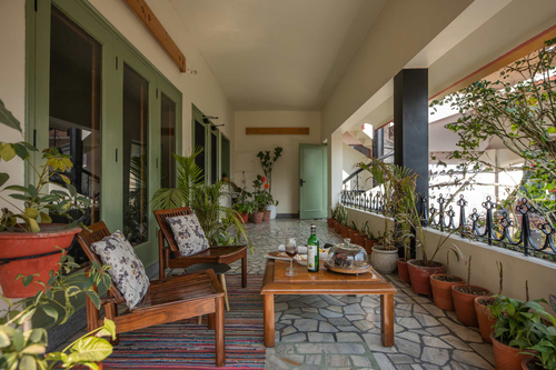 Fiddle Leaf Home