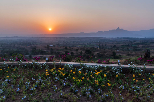 Flora @ Sunset On The Lake - Igatpuri