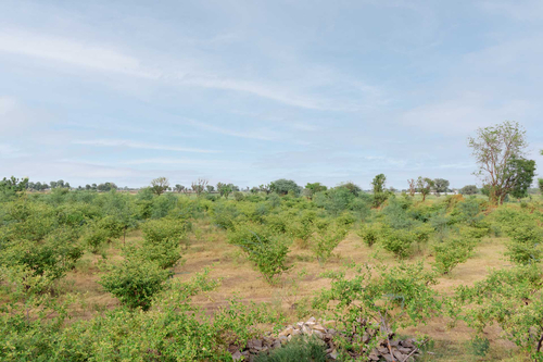 Gaudhuli Farmstay