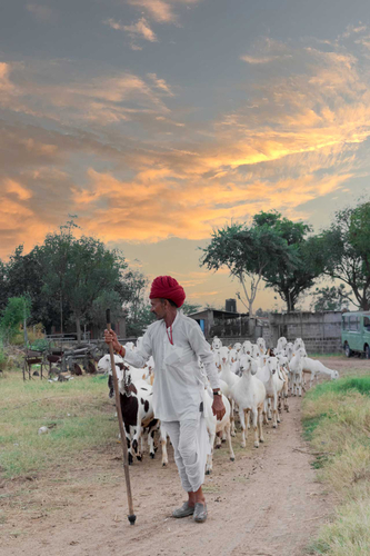 Gaudhuli Farmstay