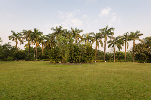 Goil Farms - Shahpur