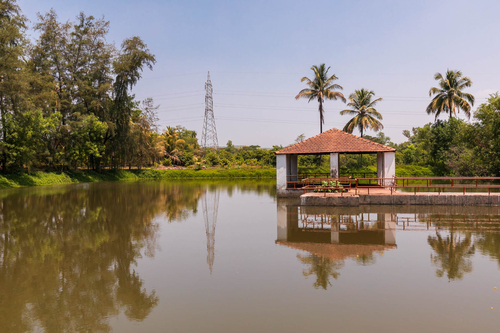 Goil Farms - Shahpur