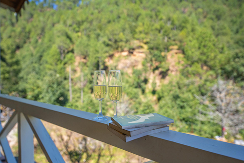 Hollyhock Cottage - Ramgarh