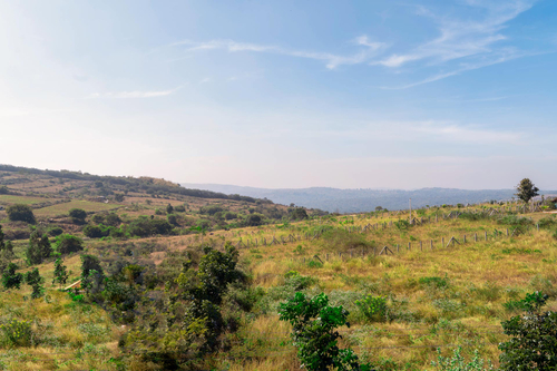 Jade @ Hillside Harmony - Hosur