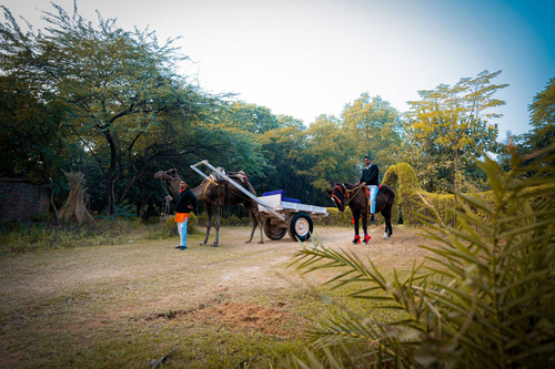 Khohar Haveli - Gurgaon W/ Breakfast Included