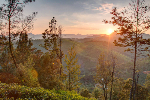 Long Walk Villa - Coonoor