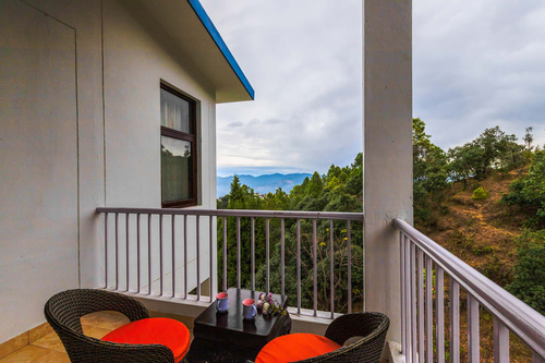 Morning Bliss - Ranikhet