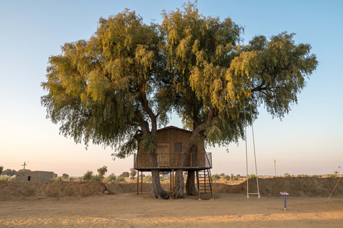 Oasis @ Sands of Thar