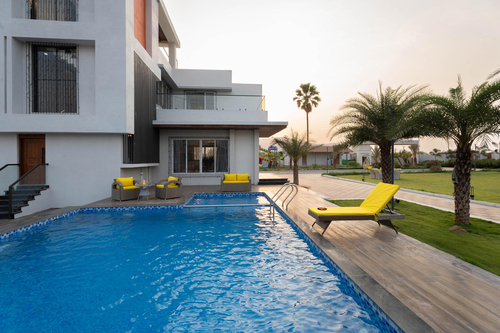 Oasis of Solace