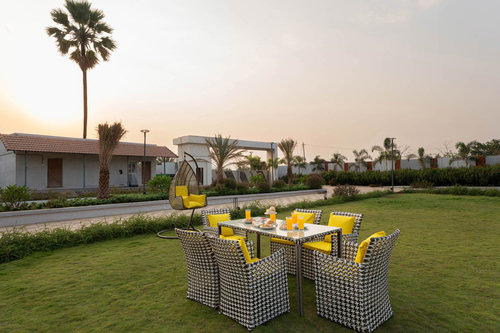 Oasis of Solace