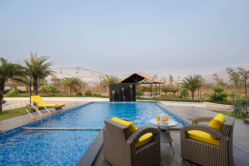 Oasis of Solace