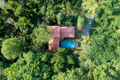 Palm Tree Homes