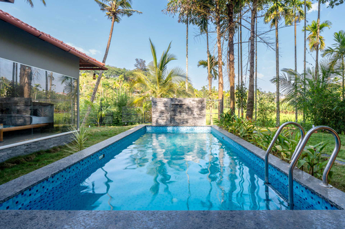 Palm Tree Homes
