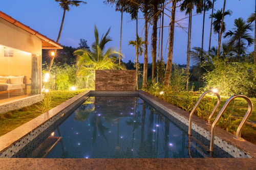 Palm Tree Homes