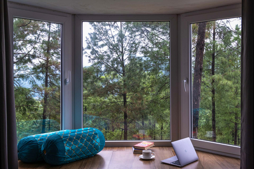 Pines & Fir