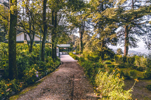 Rose Cottage