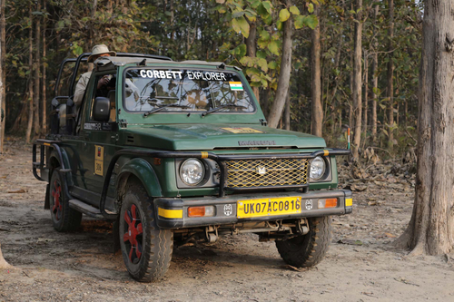 Safari @ Rolling Hills