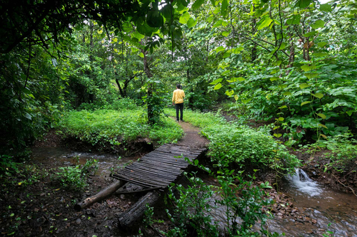 Serene Nook - Wada
