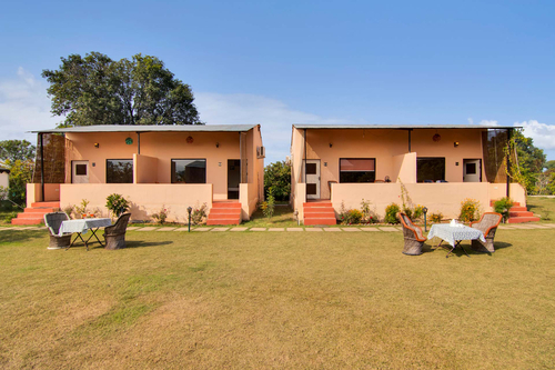 Ranthambore Reverie