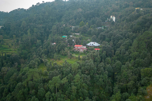 The Verandah