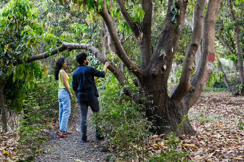 Samara - Palghar