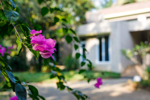 Samara - Palghar