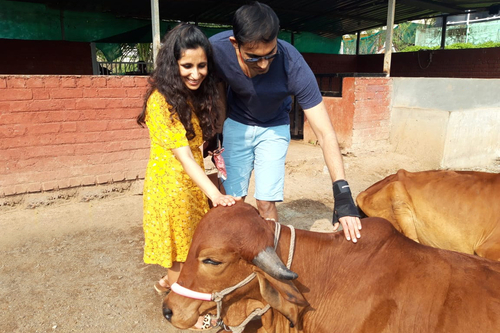 Volendam Acres - Igatpuri
