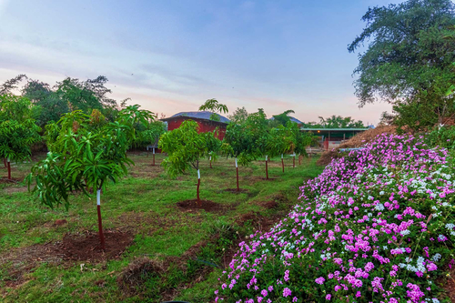 Volendam Acres - Igatpuri