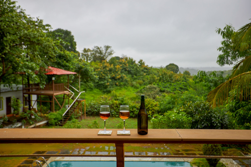 Whispers of Green - Trimbakeshwar