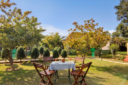 Wild @ Ranthambore Reverie
