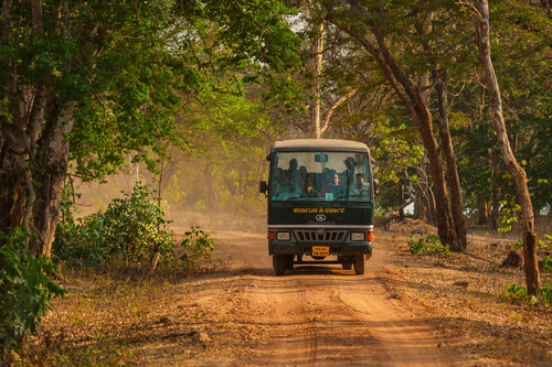 Woods @ Exotica Kabini