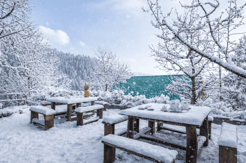 Skylounge | Pet-friendly Traditional 4-Bedroom Retreat With Sauna & Garden Near Haku Temple – 4 bedroom villa in Shimla, Himachal Pradesh