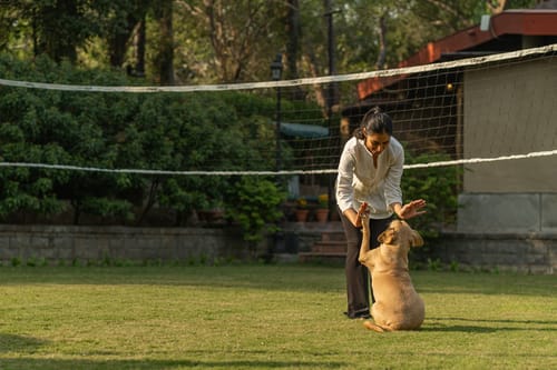 The Birdwood Estate – 6 bedroom villa in New Delhi, Delhi