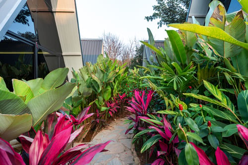 Inara Retreat | Pet-Friendly 1- Cottage with a Mezzanine Loft, Shared Pool, and Garden – 1 bedroom villa in Bengaluru, Karnataka