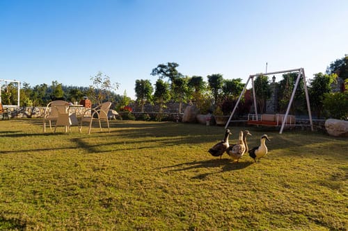 Room 4 @ The Silver Oaks Cottage – 1 bedroom villa in Dehradun, Uttarakhand