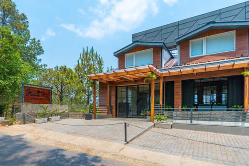 Fern @ Pristine Pines – 2 bedroom villa in Kasauli, Himachal Pradesh