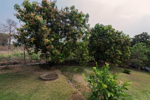 Aqua and Sage – 4 bedroom villa in Karjat, Maharashtra