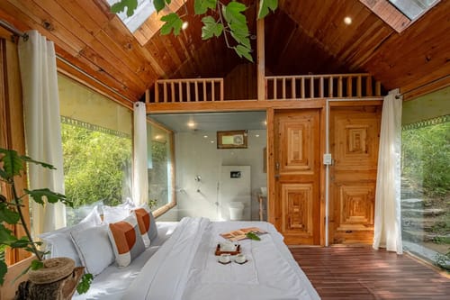 The Sinatra Skylight: Glass treehouse in the mist